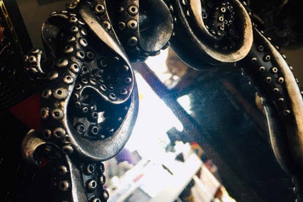 Kraken как найти ссылку