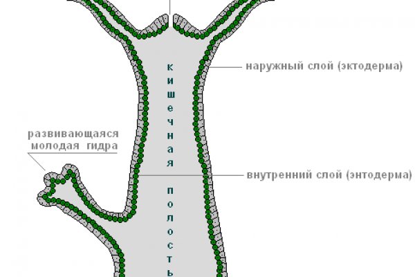 Ссылка на кракен тор магазин