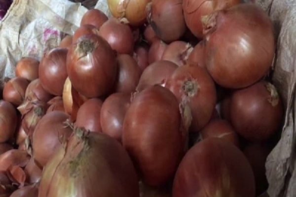 Каталог сайтов даркнет